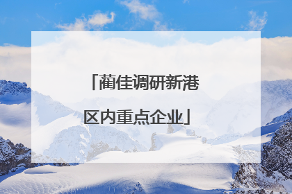 蔺佳调研新港区内重点企业