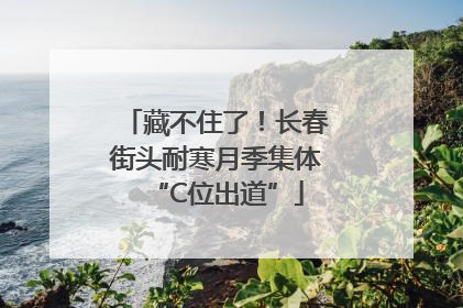 藏不住了！长春街头耐寒月季集体“C位出道”