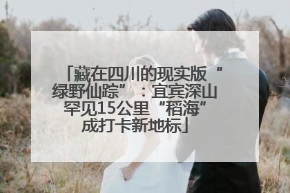 藏在四川的现实版“绿野仙踪”：宜宾深山罕见15公里“稻海”成打卡新地标