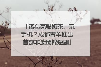 诸葛亮喝奶茶、玩手机？成都青羊推出首部非遗蜀锦短剧