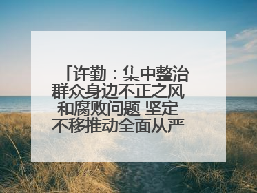 许勤：集中整治群众身边不正之风和腐败问题 坚定不移推动全面从严治党向基层延伸