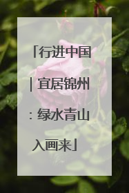 行进中国｜宜居锦州：绿水青山入画来