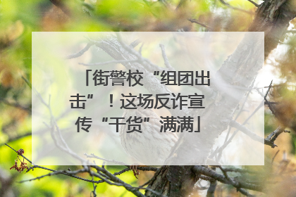 街警校“组团出击”！这场反诈宣传“干货”满满
