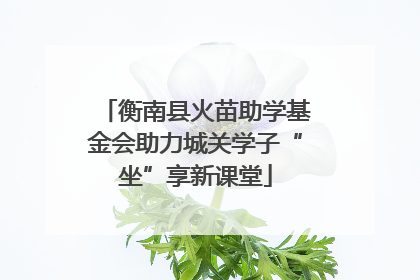 衡南县火苗助学基金会助力城关学子“坐”享新课堂