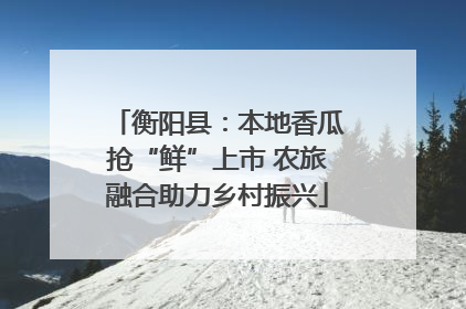 衡阳县：本地香瓜抢“鲜”上市 农旅融合助力乡村振兴