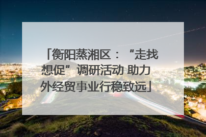 衡阳蒸湘区：“走找想促”调研活动 助力外经贸事业行稳致远