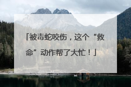 被毒蛇咬伤，这个“救命”动作帮了大忙！