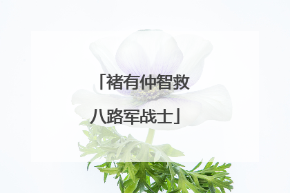 褚有仲智救八路军战士