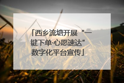 西乡流塘开展“一键下单·心愿速达”数字化平台宣传