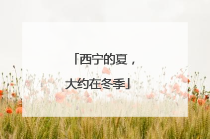 西宁的夏，大约在冬季