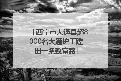 西宁市大通县超8000名大通护工蹚出一条致富路