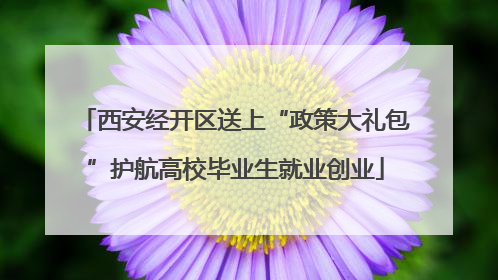 西安经开区送上“政策大礼包”护航高校毕业生就业创业