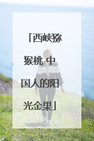 西峡猕猴桃 中国人的阳光金果