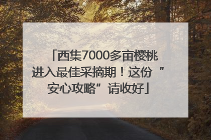 西集7000多亩樱桃进入最佳采摘期！这份“安心攻略”请收好