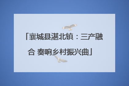 襄城县湛北镇：三产融合 奏响乡村振兴曲