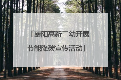 襄阳高新二幼开展节能降碳宣传活动