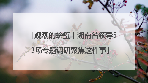 观潮的螃蟹丨湖南省领导53场专题调研聚焦这件事