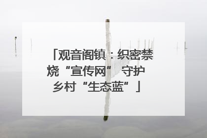 观音阁镇：织密禁烧“宣传网” 守护乡村“生态蓝”
