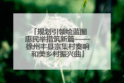 规划引领绘蓝图 惠民举措筑新篇——徐州丰县宗集村奏响和美乡村振兴曲