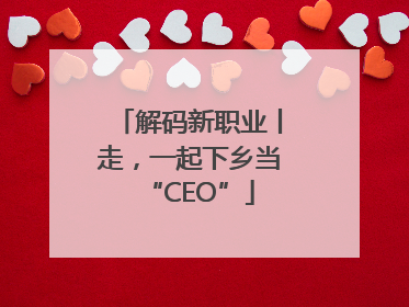 解码新职业丨走，一起下乡当“CEO”