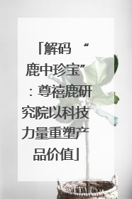 解码 “鹿中珍宝”：尊禧鹿研究院以科技力量重塑产品价值