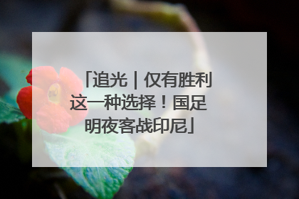 追光｜仅有胜利这一种选择！国足明夜客战印尼
