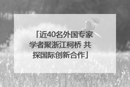 近40名外国专家学者聚浙江柯桥 共探国际创新合作