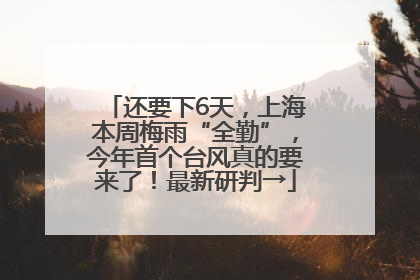 还要下6天，上海本周梅雨“全勤”，今年首个台风真的要来了！最新研判→
