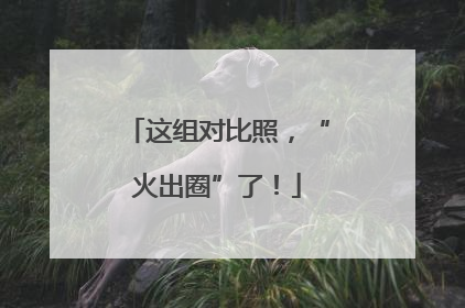 这组对比照，“火出圈”了！