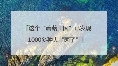 这个“蘑菇王国”已发现1000多种大“菌子”