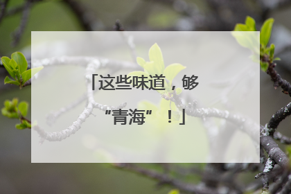 这些味道，够“青海”！