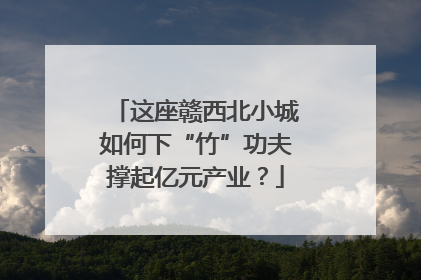 这座赣西北小城如何下“竹”功夫撑起亿元产业？