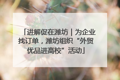 进解促在潍坊｜为企业找订单，潍坊组织“外贸优品进高校”活动