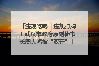 违规吃喝、违规打牌！武汉市政府原副秘书长周大鸿被“双开”