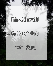连云港赣榆推动海苔老产业向“新”发展