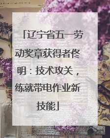 辽宁省五一劳动奖章获得者佟明：技术攻关，练就带电作业新技能