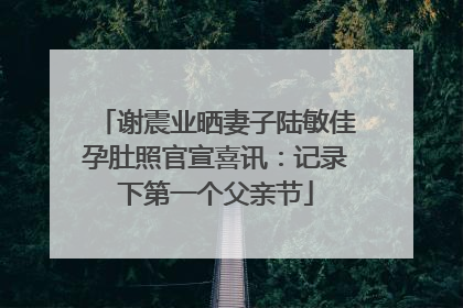 谢震业晒妻子陆敏佳孕肚照官宣喜讯：记录下第一个父亲节