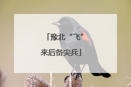 豫北“飞”来后备尖兵