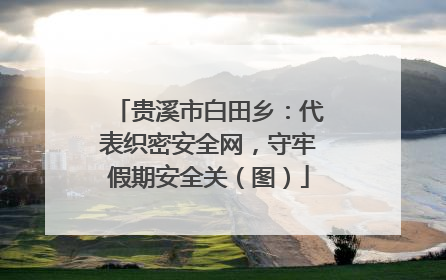 贵溪市白田乡：代表织密安全网，守牢假期安全关（图）