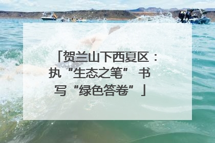贺兰山下西夏区：执“生态之笔” 书写“绿色答卷”