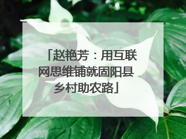 赵艳芳：用互联网思维铺就固阳县乡村助农路