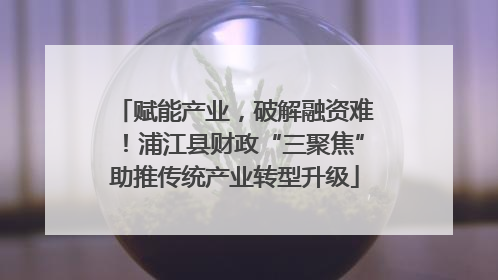 赋能产业，破解融资难！浦江县财政“三聚焦”助推传统产业转型升级