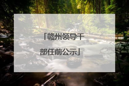 赣州领导干部任前公示