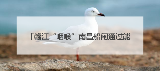 赣江“咽喉”南昌船闸通过能力今年来突破5000万吨