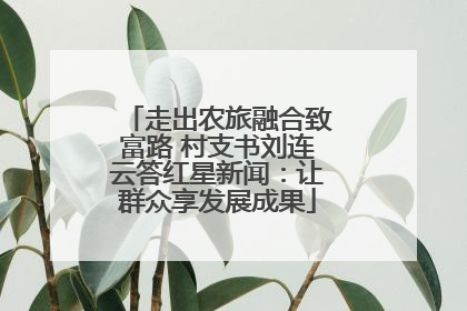 走出农旅融合致富路 村支书刘连云答红星新闻：让群众享发展成果