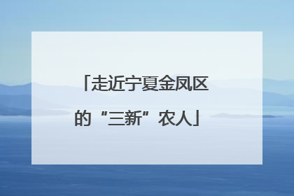 走近宁夏金凤区的“三新”农人