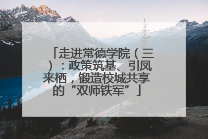 走进常德学院（三）：政策筑基、引凤来栖，锻造校城共享的“双师铁军”