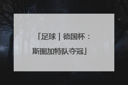 足球｜德国杯：斯图加特队夺冠