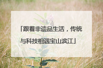 跟着非遗品生活，传统与科技相遇宝山滨江