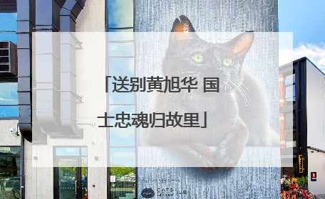 送别黄旭华 国士忠魂归故里